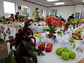 Obr: 22149.jpg