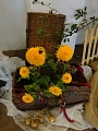Obr: 22307.jpg
