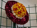 Obr: 22309.jpg