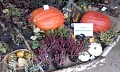 Obr: 22420.jpg