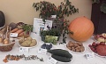 Obr: 22451.jpg