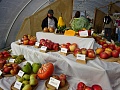 Obr: 22577.jpg