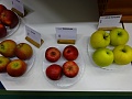 Obr: 22681.jpg