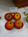 Obr: 22683.jpg