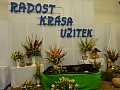 Obr: 22687.jpg