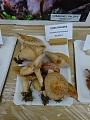 Obr: 23077.jpg
