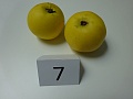 Obr: 25720.jpg