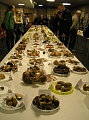 Obr: 2701.jpg