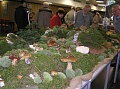 Obr: 2702.jpg