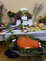 Obr: 27809.jpg