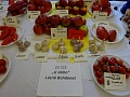Obr: 27814.jpg