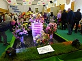 Obr: 28155.jpg