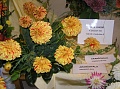 Obr: 2882.jpg