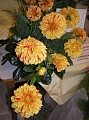 Obr: 2884.jpg