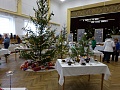 Obr: 28956.jpg