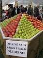 Obr: 2989.jpg