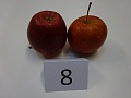 Obr: 30424.jpg