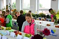 Obr: 31510.jpg