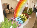 Obr: 31603.jpg