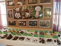 Obr: 31687.jpg