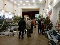 Obr: 33280.jpg