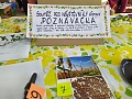 Obr: 36391.jpg