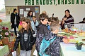 Obr: 40026.jpg