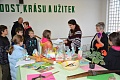 Obr: 40028.jpg