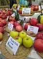 Obr: 40378.jpg