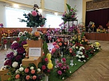 Obr: 42699.jpg