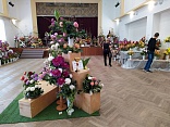 Obr: 42738.jpg