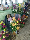 Obr: 42885.jpg
