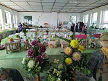 Obr: 42891.jpg