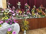 Obr: 49074.jpg