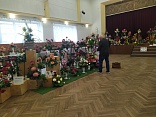 Obr: 49085.jpg