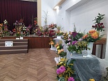 Obr: 49087.jpg