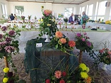 Obr: 49268.jpg
