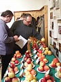 Obr: 4991.jpg