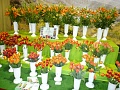 Obr: 5896.jpg