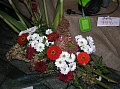 Obr: 7021.jpg