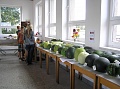 Obr: 793.jpg
