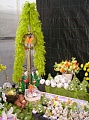 Obr: 9655.jpg