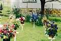 Obr: 23967.jpg