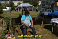 Obr: 32928.jpg