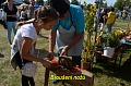 Obr: 32929.jpg