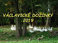 Obr: 32937.jpg