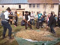 Obr: 32945.jpg