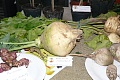Obr: 35403.jpg