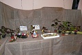 Obr: 35407.jpg