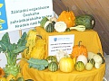 Obr: 36218.jpg